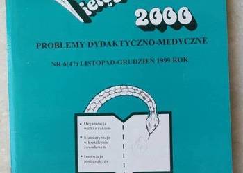 Pielęgniarstwo, Problemy dydaktyczno - metodyczne.