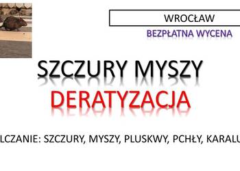 Odszczurzanie, domu, budynku,  Wrocław, cena, deratyzacja,