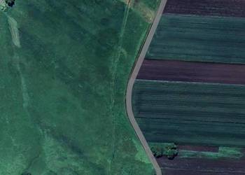 Dzierżawa łąki - Dzierążnia