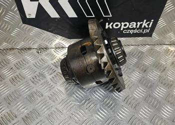 Dyferencjał mechanizm różnicowy Case 695SM 695SR B115 LB115 Carraro