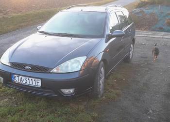 Focus MK1