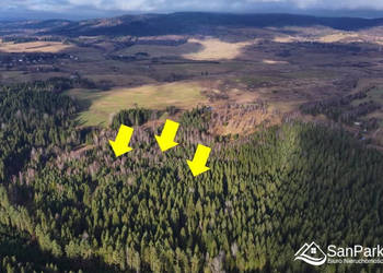 Działka Czarna 11400m2 Działka Czarna 11400m2