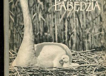 W Krainie Łabędzia - Puchalski