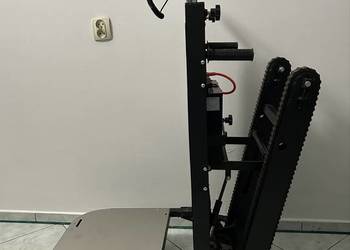 Schodolaz gąsienicowy