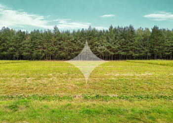 Działka budowlana w otoczeniu lasu