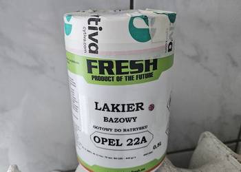 Lakier opel 22A