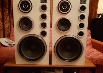Kolumny Tonsil. Dynamic Speaker HX80- Altus 110