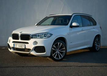 BMW X5 Harman Kardon | Komfortowe fotele | Wentylacja | Krajowy | FV 23 % …