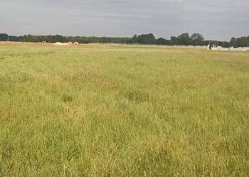 Profesjonalne koszenie farm fotowoltaiczne – czystość i efektywność na całe