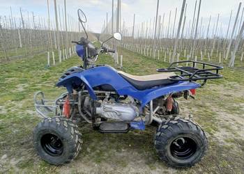 Bashan Ontario 150cc po generalnym remoncie silnika