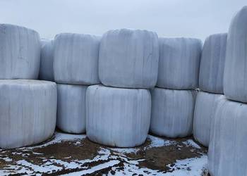 Sianokiszonka siano bele baloty 130x125