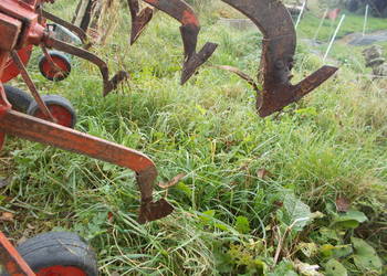 Opiełacz pielnik międzyrzędzi