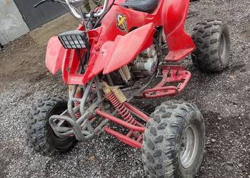 Quad ATV 250 Bashan