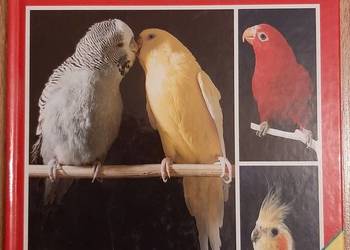 Papugi i papużki Eva Maria Bartenschlager