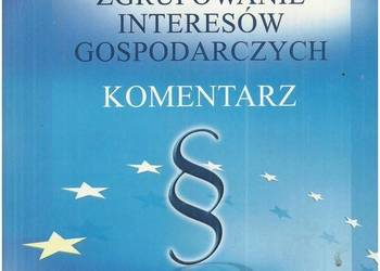 Europejskie Zgrupowanie Interesów Gospodarczych. Komentarz