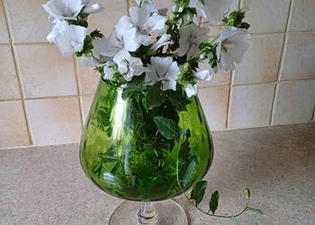 duży zielony puchar