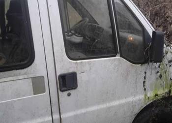 ducato boxer