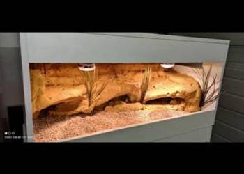 Okazja terrarium dla agamy gekona żółwia węża kameleona legwana boa pająka