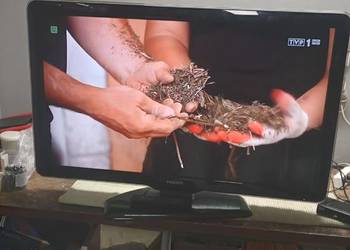 Sprzedam  telewizor Philips 42 cale lce