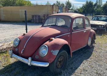 VW Garbus 1300 Ruby Red 1966