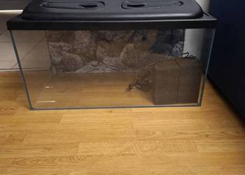 Sprzedam akwarium optic white z pokrywą