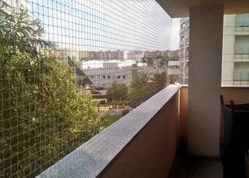 Ochrona Balkonu Przed Kotem Warszawa Montaż Siatki Ochronnej Na Balkon Kot
