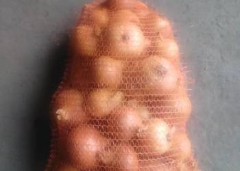 Cebula szturon