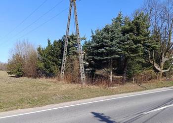 Działka z domkiem do remontu Prace Małe przy ul. Piaseczńskiej