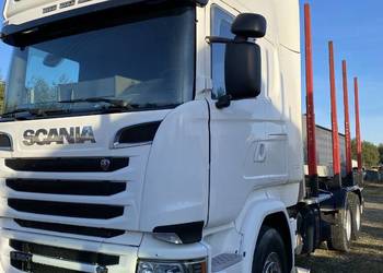 Do drzewa drewna lasu