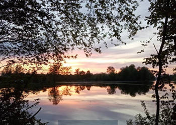 Ogłoszenie działka  Ostrowiec