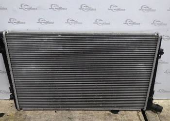 CADDY III 1.9 TDI 09r intercooler 10054170 6529201E