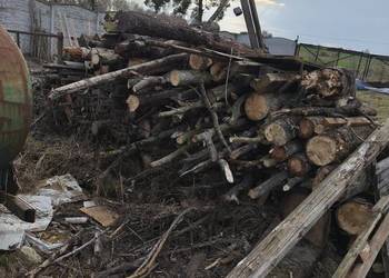 Drzewo opałowe różne