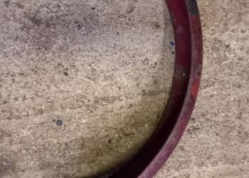 Blotnik przedni komar sztywniak