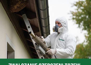 Zwalczanie Szerszeni Tczew - Usuwanie Gniazd Szerszeni