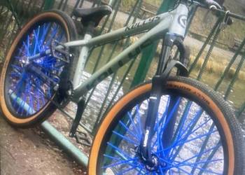 Dirt Kellys whip 70 2024 r