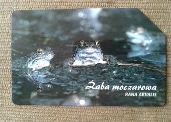 ŻABA MOCZAROWA