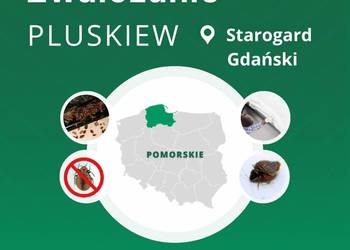 Zwalczanie pluskiew Starogard Gdański - Odpluskwianie, Dezynsekcja