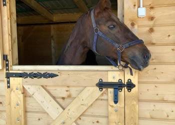 Okucia drzwi 2 zawiasy kute na drzwi klamka szyldy zasuwa rygiel kuty zamek