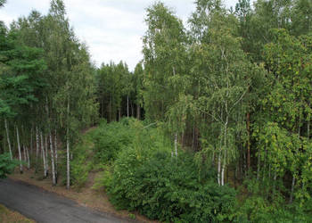 Do sprzedaży grunt 5100m2 Przymiłów