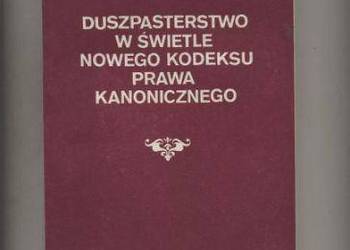Duszpasterstwo w świetle nowego Kodeksu Prawa Kanonicznego