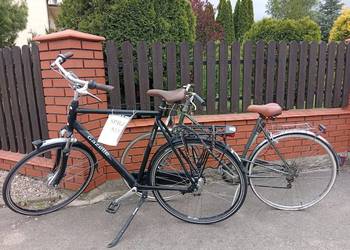 Rower holenderski Gazella plus damka