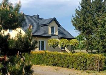 Dom Sędzin działka 5000 m2