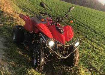 Sprzedam Zamienię guada