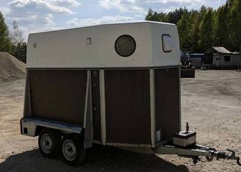 Westfalia dwu konna Przyczepa do przewozu żywych zwierząt