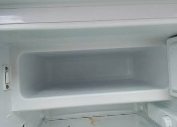 Lodówka z zamrazalnikiem