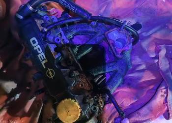 Głowica, kompletna Opel Astra F 1.4 8v X14NZ TANIO PILNE