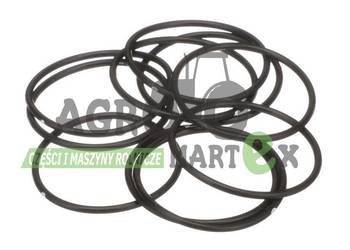 579359, 14454380, 238-5026, 14454380, 129984 ORING CNH