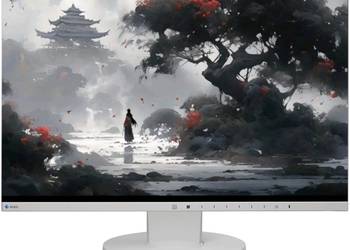 Monitor Eizo Flexscan Ev2450 24" Ips 1920X1080 (16:9) Srebrny |Klasa A|