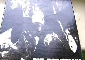 Książka historyczna DNI POWSTANIA