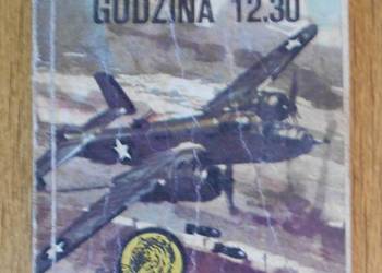 Żółty Tygrys - Tokio gdzo. 12.30 - 1/89